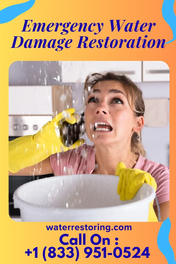 Emergency Water Damage Restoration in St. George, WV