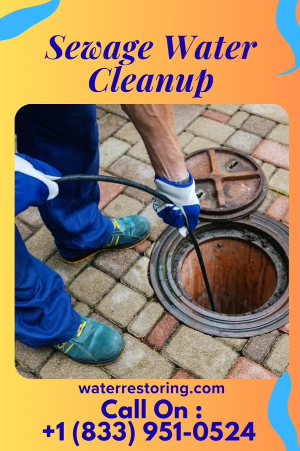 Sewage Water Cleanup in St. George, WV